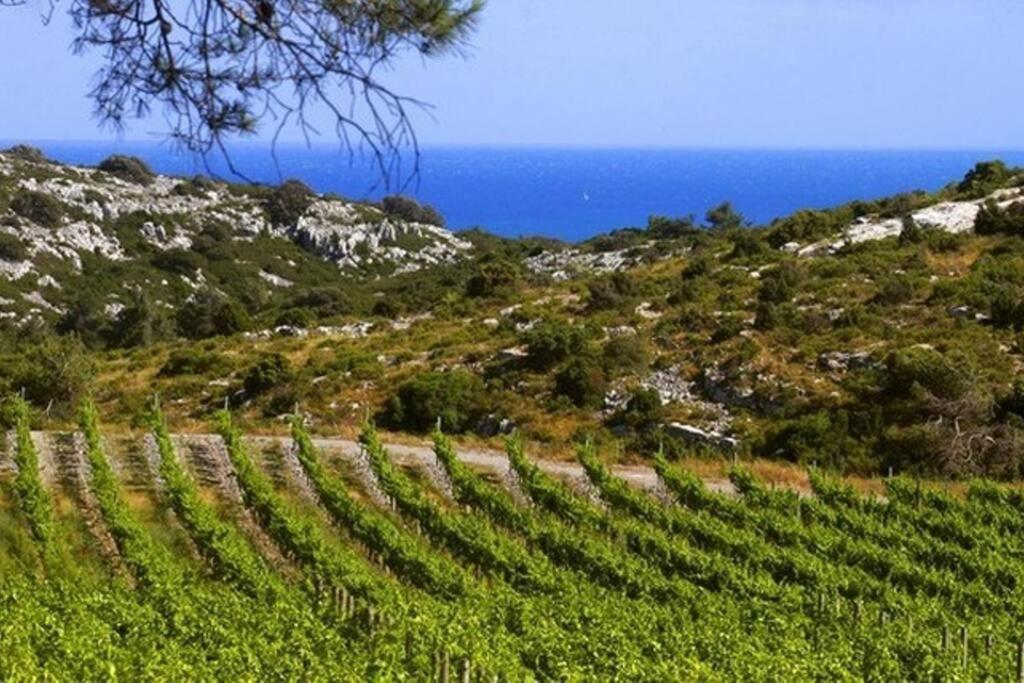 Entre Mer Et Garrigue Saint-Pierre-la-Mer  Luaran gambar